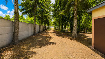 Działka Sprzedaż Leszno Warszawska
